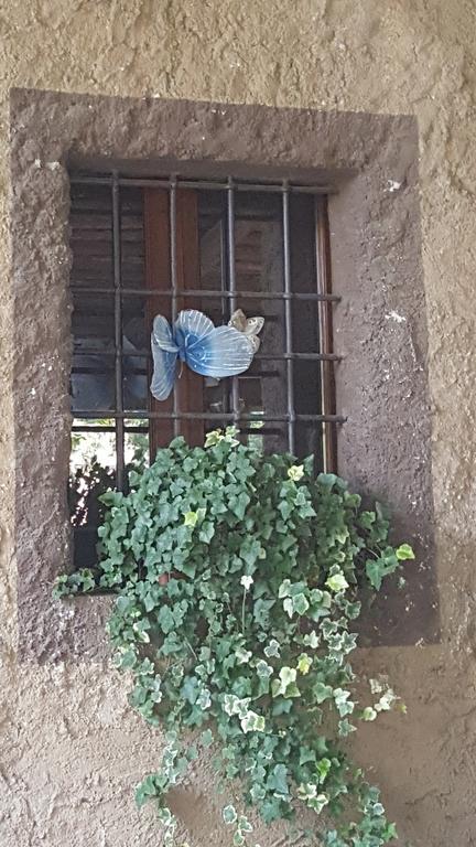 Bed & Breakfast Corte Bezzetti Volta Mantovana